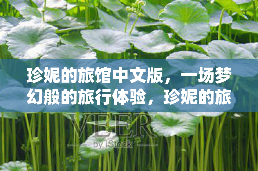 一场梦幻般的旅行体验图片
