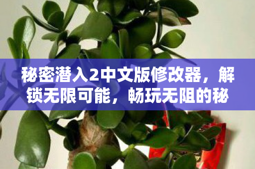 秘密潜入2中文版修改器图片