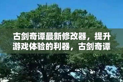 古剑奇谭最新修改器，提升游戏体验的利器，古剑奇谭最新修改器，提升游戏体验的利器