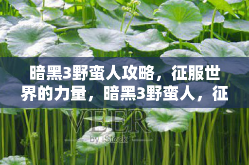 征服世界的力量全解析图片