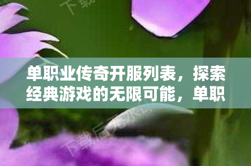 单职业传奇开服列表,探索经典游戏的无限可能,单职业传奇开服列表,探索经典游戏的无限可能 单职业传奇开服列表,探索经典游戏的无限可能,单职业传奇开服列表,探索经典游戏的无限可能