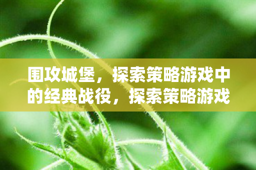 探索策略游戏中的经典战役图片