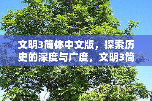 探索历史的深度与广度图片