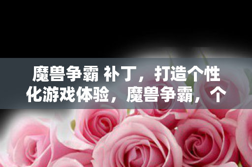 个性化补丁打造专属游戏体验图片