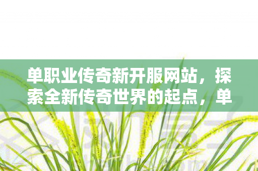 单职业传奇新开服网站,探索全新传奇世界的起点,单职业传奇新开服网站,开启全新传奇世界的冒险之旅 单职业传奇新开服网站,探索全新传奇世界的起点,单职业传奇新开服网站,开启全新传奇世界的冒险之旅