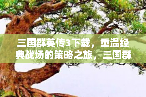 重温经典战场的策略之旅图片