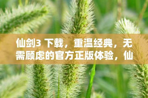 无需顾虑的官方正版体验图片
