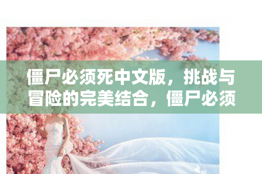 挑战与冒险的完美结合图片