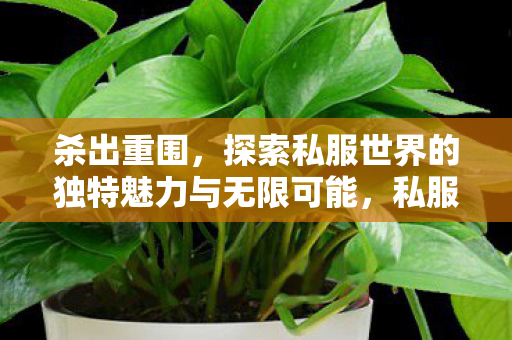 探索私服世界的独特魅力与无限可能图片