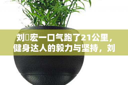 刘畊宏一口气跑了21公里，健身达人的毅力与坚持，刘畊宏21公里跑步挑战，健身达人的毅力与坚持