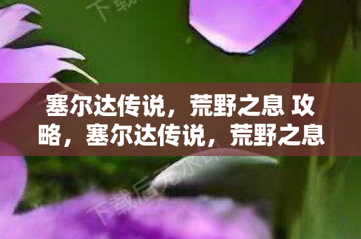 荒野之息 攻略图片
