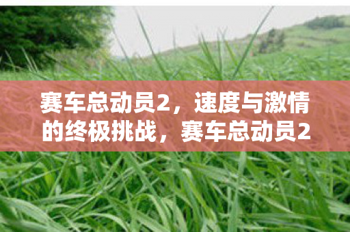 赛车总动员2,速度与激情的终极挑战,赛车总动员2,速度与激情的终极挑战 赛车总动员2,速度与激情的终极挑战,赛车总动员2,速度与激情的终极挑战