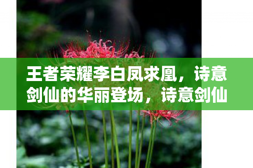 王者荣耀李白凤求凰图片