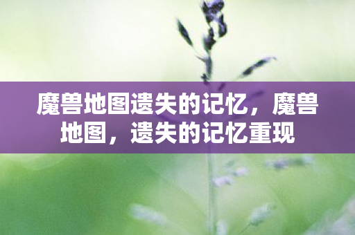 魔兽地图遗失的记忆图片