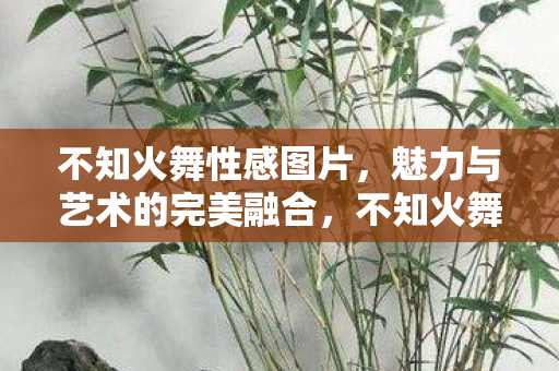 魅力与艺术的完美融合图片