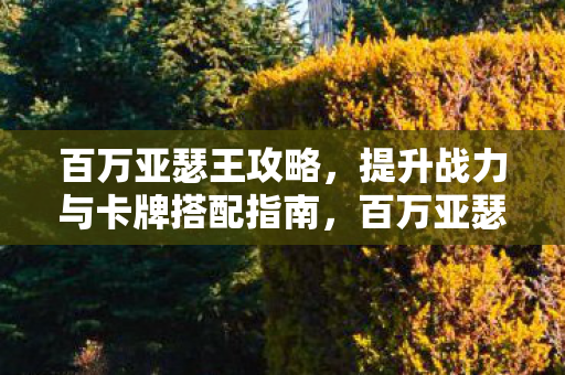 百万亚瑟王战力提升与卡牌搭配全攻略图片