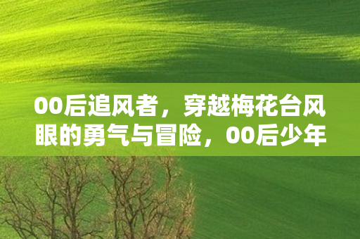 00后追风者,穿越梅花台风眼的勇气与冒险,00后少年勇闯梅花台风眼,无畏的冒险之旅 00后追风者,穿越梅花台风眼的勇气与冒险,00后少年勇闯梅花台风眼,无畏的冒险之旅