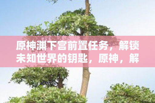 原神渊下宫前置任务,解锁未知世界的钥匙,原神,解锁渊下宫前置任务,探索未知世界的神秘之旅 原神渊下宫前置任务,解锁未知世界的钥匙,原神,解锁渊下宫前置任务,探索未知世界的神秘之旅