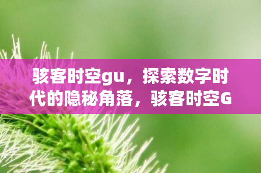 骇客时空gu,探索数字时代的隐秘角落,骇客时空GU,揭秘数字时代的隐秘角落 骇客时空gu,探索数字时代的隐秘角落,骇客时空GU,揭秘数字时代的隐秘角落
