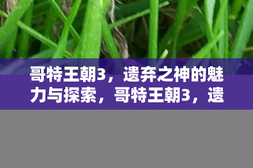 哥特王朝3,遗弃之神的魅力与探索,哥特王朝3,遗弃之神的魅力与探索之旅 哥特王朝3,遗弃之神的魅力与探索,哥特王朝3,遗弃之神的魅力与探索之旅