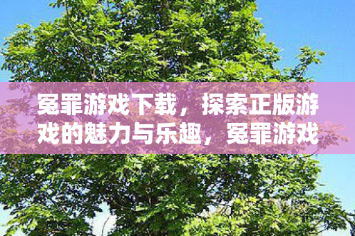 冤罪游戏下载,探索正版游戏的魅力与乐趣,冤罪游戏下载,探索正版游戏的魅力与乐趣 冤罪游戏下载,探索正版游戏的魅力与乐趣,冤罪游戏下载,探索正版游戏的魅力与乐趣