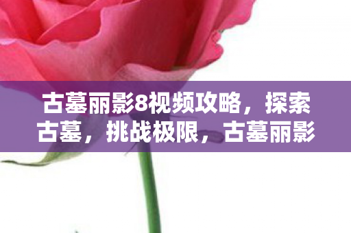 古墓丽影8视频攻略图片
