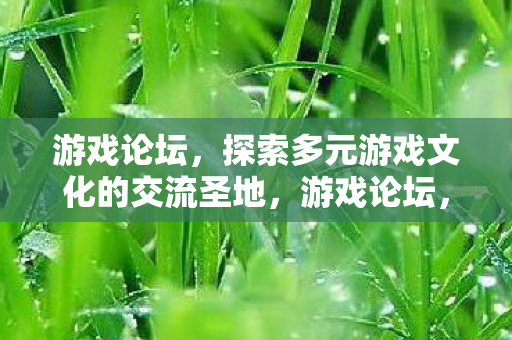 探索多元游戏文化的交流圣地图片