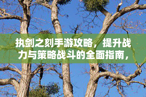 执剑之刻手游战力提升与策略战斗全攻略图片