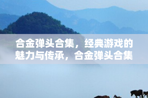经典游戏魅力与传承的盛宴图片