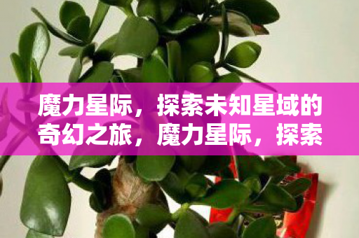 探索未知星域的奇幻之旅图片