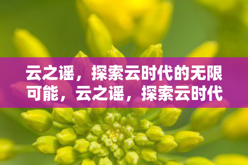 探索云时代的无限可能图片