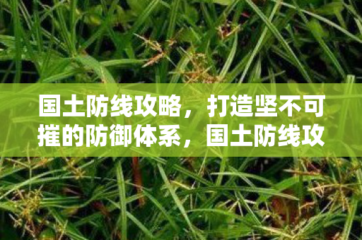国土防线攻略,打造坚不可摧的防御体系,国土防线攻略,打造坚不可摧的防御体系 国土防线攻略,打造坚不可摧的防御体系,国土防线攻略,打造坚不可摧的防御体系