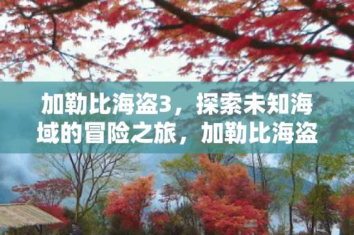 加勒比海盗3,探索未知海域的冒险之旅,加勒比海盗3,未知海域的惊险探险之旅 加勒比海盗3,探索未知海域的冒险之旅,加勒比海盗3,未知海域的惊险探险之旅