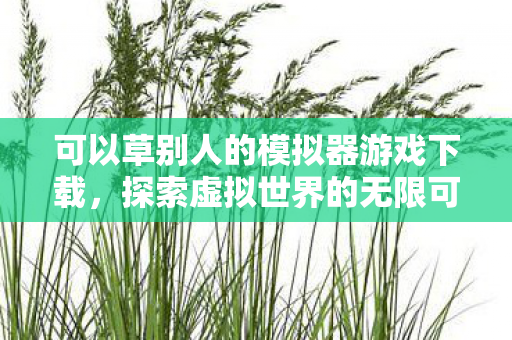 可以草别人的模拟器游戏下载图片