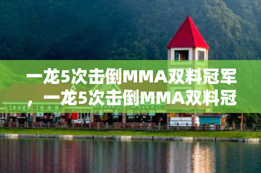 一龙5次击倒MMA双料冠军图片