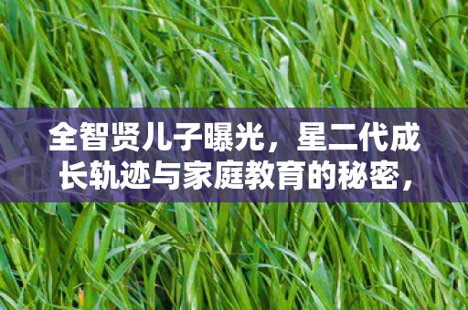 星二代成长轨迹与家庭教育的秘密图片