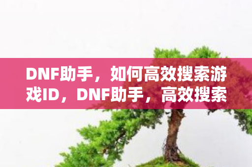 DNF助手,如何高效搜索游戏ID,DNF助手,高效搜索游戏ID的方法揭秘 DNF助手,如何高效搜索游戏ID,DNF助手,高效搜索游戏ID的方法揭秘