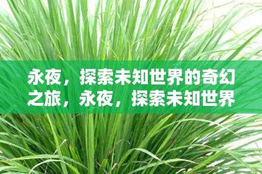 探索未知世界的奇幻之旅图片