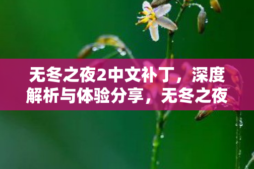 无冬之夜2中文补丁深度解析图片