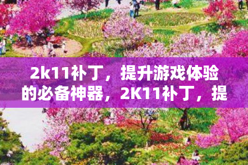 2k11补丁,提升游戏体验的必备神器,2K11补丁,提升游戏体验的必备利器 2k11补丁,提升游戏体验的必备神器,2K11补丁,提升游戏体验的必备利器