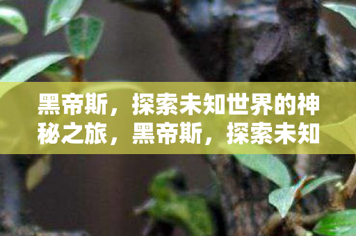 黑帝斯,探索未知世界的神秘之旅,黑帝斯,探索未知世界的神秘之旅 黑帝斯,探索未知世界的神秘之旅,黑帝斯,探索未知世界的神秘之旅