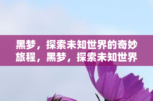 黑梦,探索未知世界的奇妙旅程,黑梦,探索未知世界的奇妙旅程 黑梦,探索未知世界的奇妙旅程,黑梦,探索未知世界的奇妙旅程
