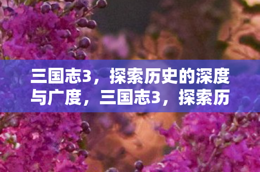三国志3,探索历史的深度与广度,三国志3,探索历史的深度与广度 三国志3,探索历史的深度与广度,三国志3,探索历史的深度与广度
