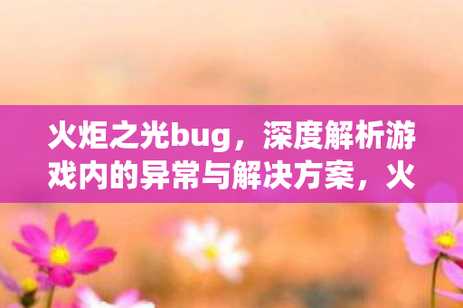 深度解析游戏内的异常与解决方案图片