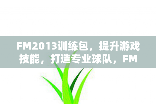 FM2013训练包,提升游戏技能,打造专业球队,FM2013训练包,提升游戏技能,打造专业球队 FM2013训练包,提升游戏技能,打造专业球队,FM2013训练包,提升游戏技能,打造专业球队