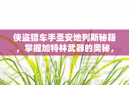 掌握侠盗猎车手圣安地列斯加特林武器秘籍图片