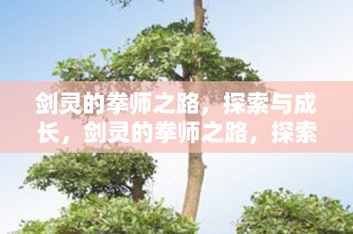 剑灵的拳师之路,探索与成长,剑灵的拳师之路,探索与成长 剑灵的拳师之路,探索与成长,剑灵的拳师之路,探索与成长