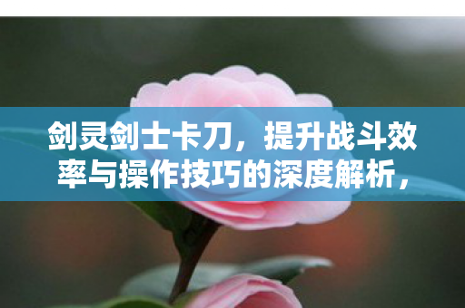 剑灵剑士卡刀,提升战斗效率与操作技巧的深度解析,剑灵剑士卡刀,深度解析战斗效率与操作技巧 剑灵剑士卡刀,提升战斗效率与操作技巧的深度解析,剑灵剑士卡刀,深度解析战斗效率与操作技巧
