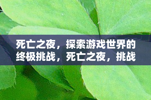 死亡之夜,探索游戏世界的终极挑战,死亡之夜,挑战游戏世界终极难关 死亡之夜,探索游戏世界的终极挑战,死亡之夜,挑战游戏世界终极难关