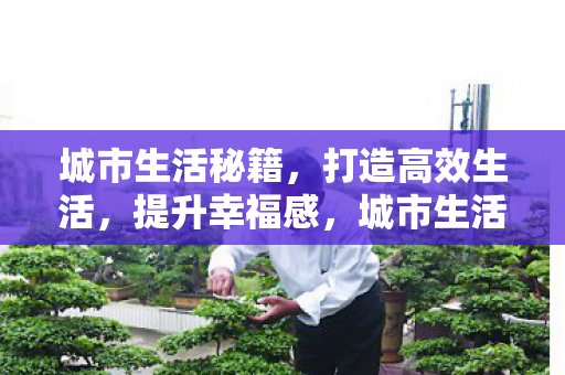 城市生活秘籍图片